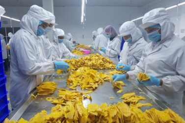 photo_2021-01-26_12-21-14