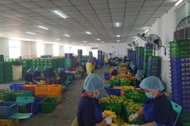 photo_2021-01-26_12-21-17