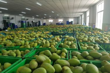 photo_2021-01-26_12-21-21